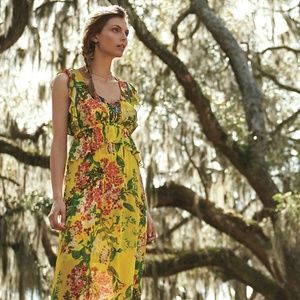 Anthropologie Sungrove Maxi Dress